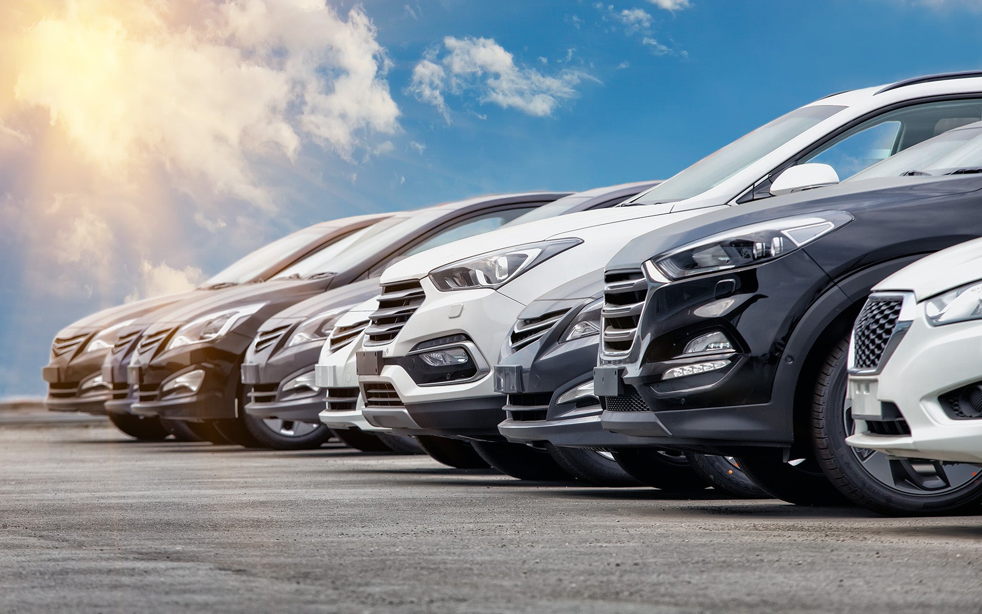 car lineup