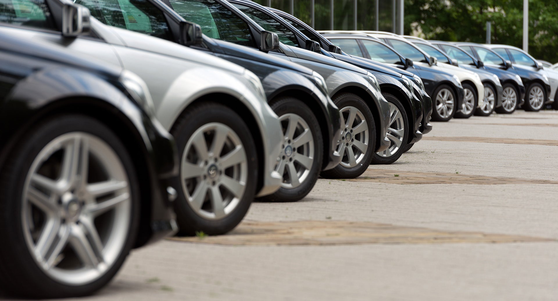 car lineup